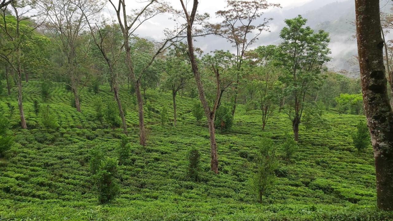 Eviana Homestay Darjeeling  Extérieur photo
