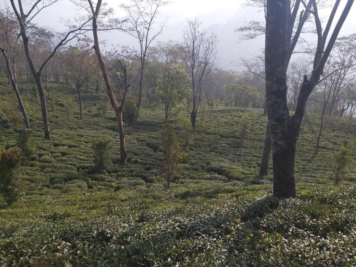 Eviana Homestay Darjeeling  Extérieur photo